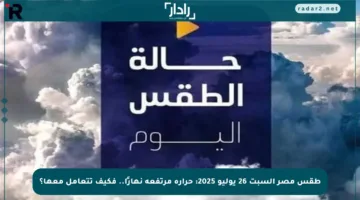 طقس مصر السبت 26 يوليو 2025: حرارة مرتفعة نهارًا.. فكيف تتعامل معها؟